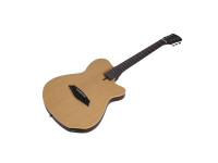 Larry Carlton G5A Natural Larry Carlton G5A Natural